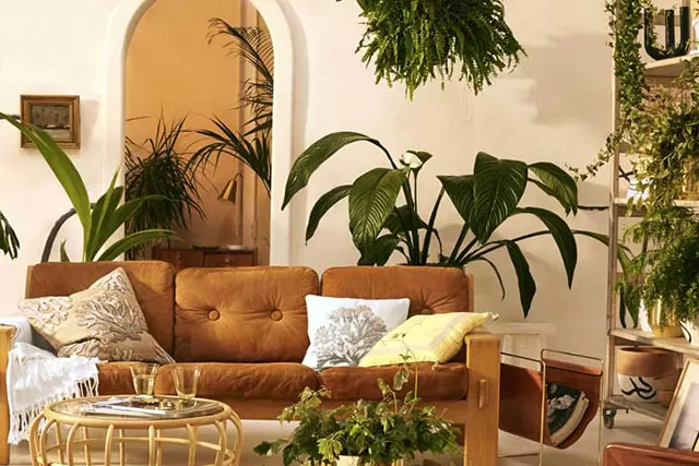 Decoración