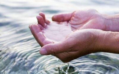 Beneficios de consumir Agua de Mar