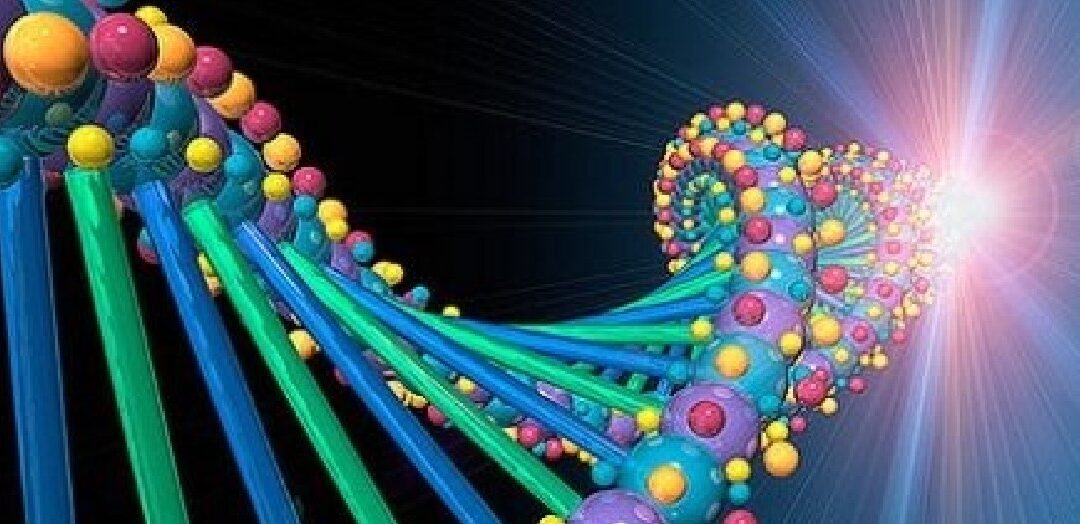 Realidad  Bio Lógica