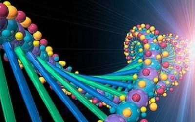 Realidad  Bio Lógica